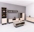 TV sideboard with 2 doors and 1 drawer 