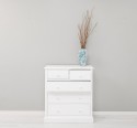 2+3 Drawer Chest - Color_P004 - PAINT