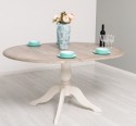 Table with central leg 120x120cm + 1 extension