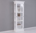 Showcase with 1 glass door, glass walls
